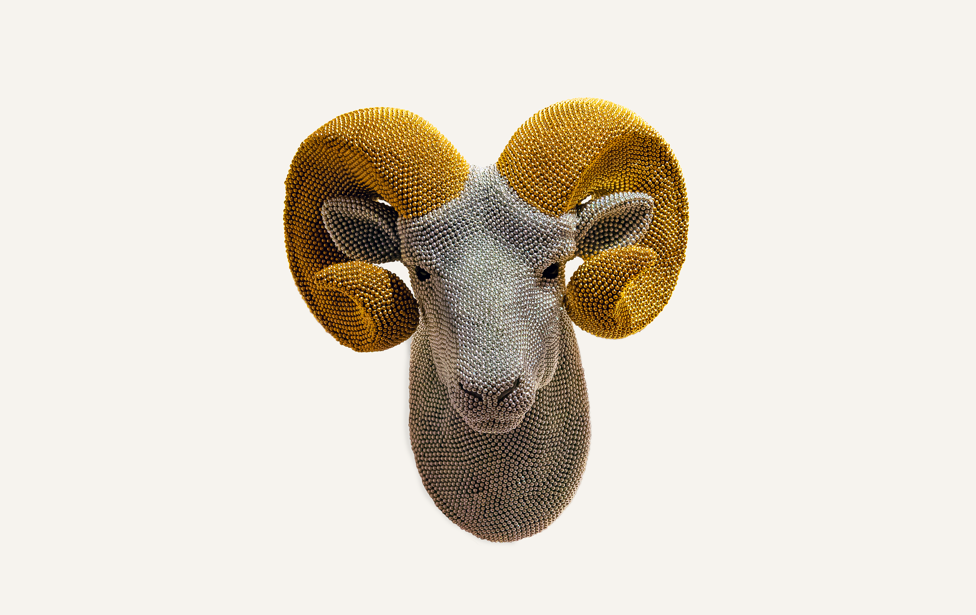 Courtney Timmermans, Ram, 2017 (1)