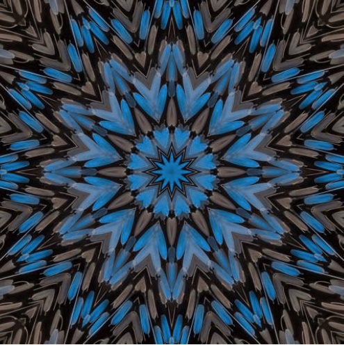 Steel Blue Morpho Mosaic #1, 2019, digital inkjet print, 12 x 12, edition of 20